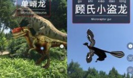 即将上线小恐龙爆料视频,即将上线爆料视频大揭秘！